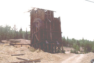 Forest Queen Gold Mine