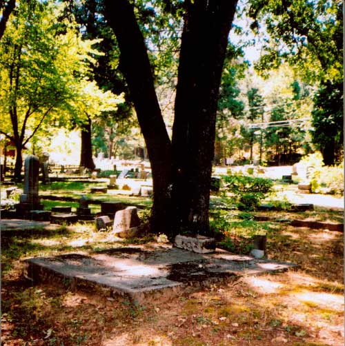 Marvin's Grave