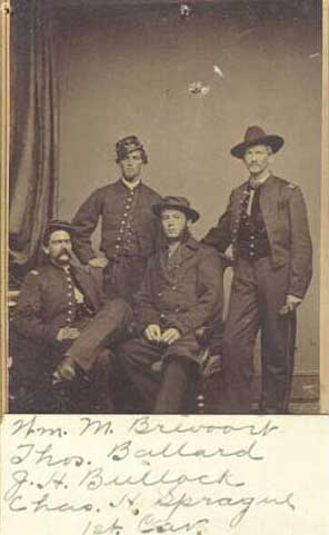 Bullock Portrait