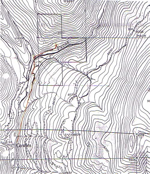 Topo view of Blonger homestead